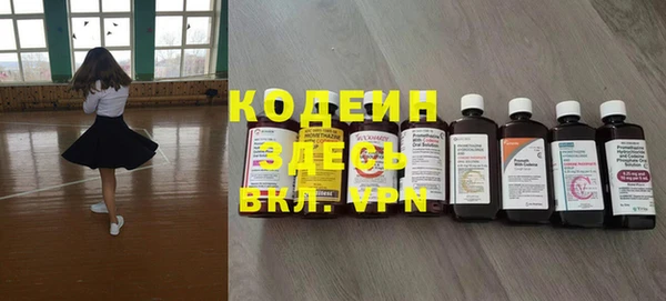 гашик Коряжма