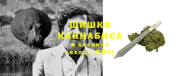 гашик Коряжма