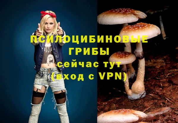 ешки Костерёво