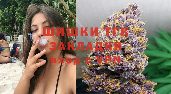 гашик Коряжма