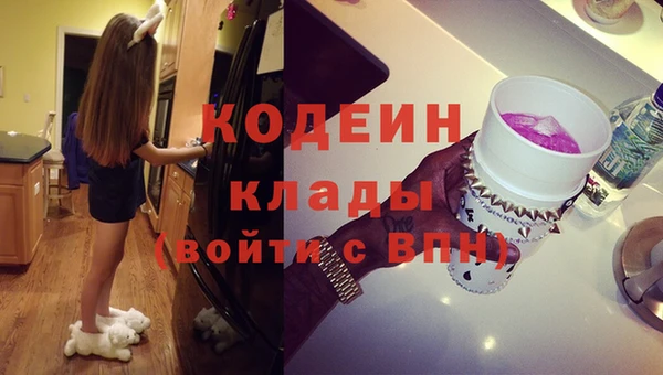 гашик Коряжма