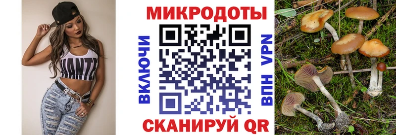 Купить Лаишево Галлюциногенные грибы мицелий
